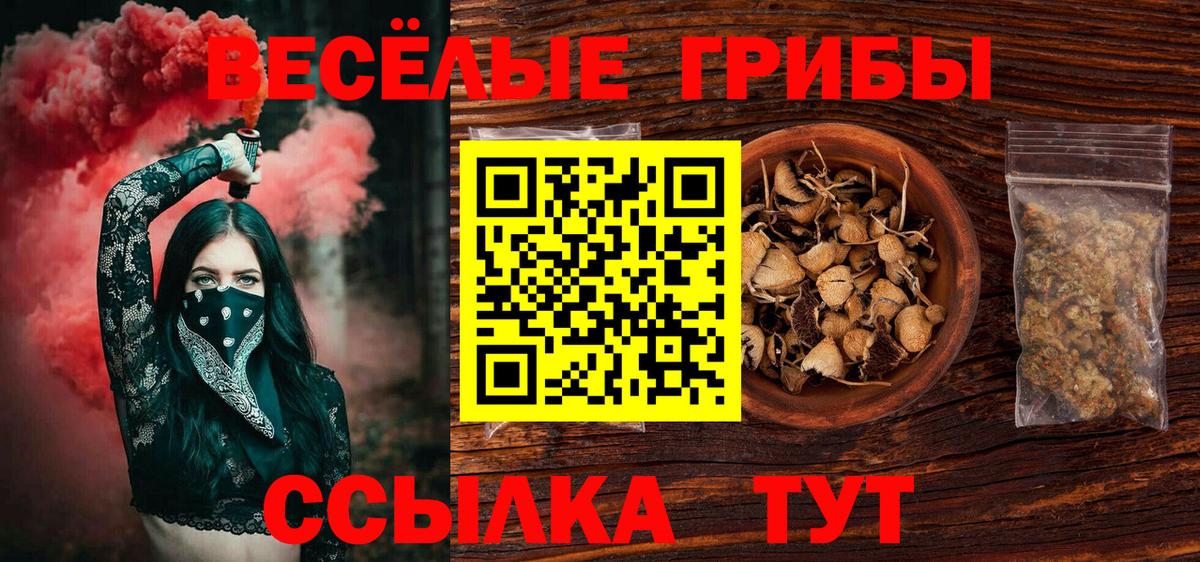 Галлюциногенные грибы Psilocybine cubensis Реж
